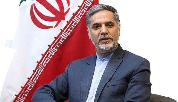 نقوی حسینی: الان زمان گرو کشی سیاسی نیست