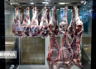 خبرنگاران دامداران شیروانی 25 درصد گوشت قرمز خراسان شمالی را فراوری می نمایند
