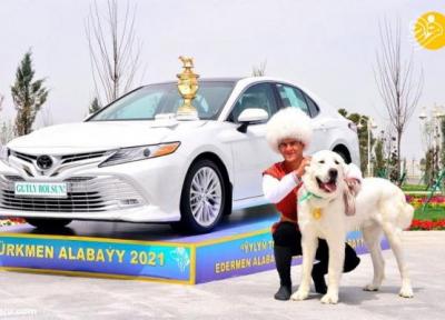 (تصاویر) جشن ملی در ترکمنستان به احترام نژاد سگ آلابای