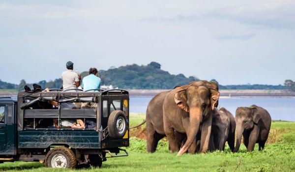 تور سریلانکا ارزان: جاذبه های گردشگری سریلانکا ، دیدنی های بنتوتا و کلمبو