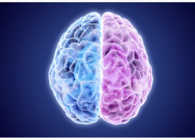 آزمایش شگفت انگیز؛ اگر یک نیمکره مغز از کار افتاد چه می گردد؟!
